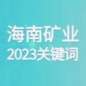 10个要害词 回首菠菜担保网的2023