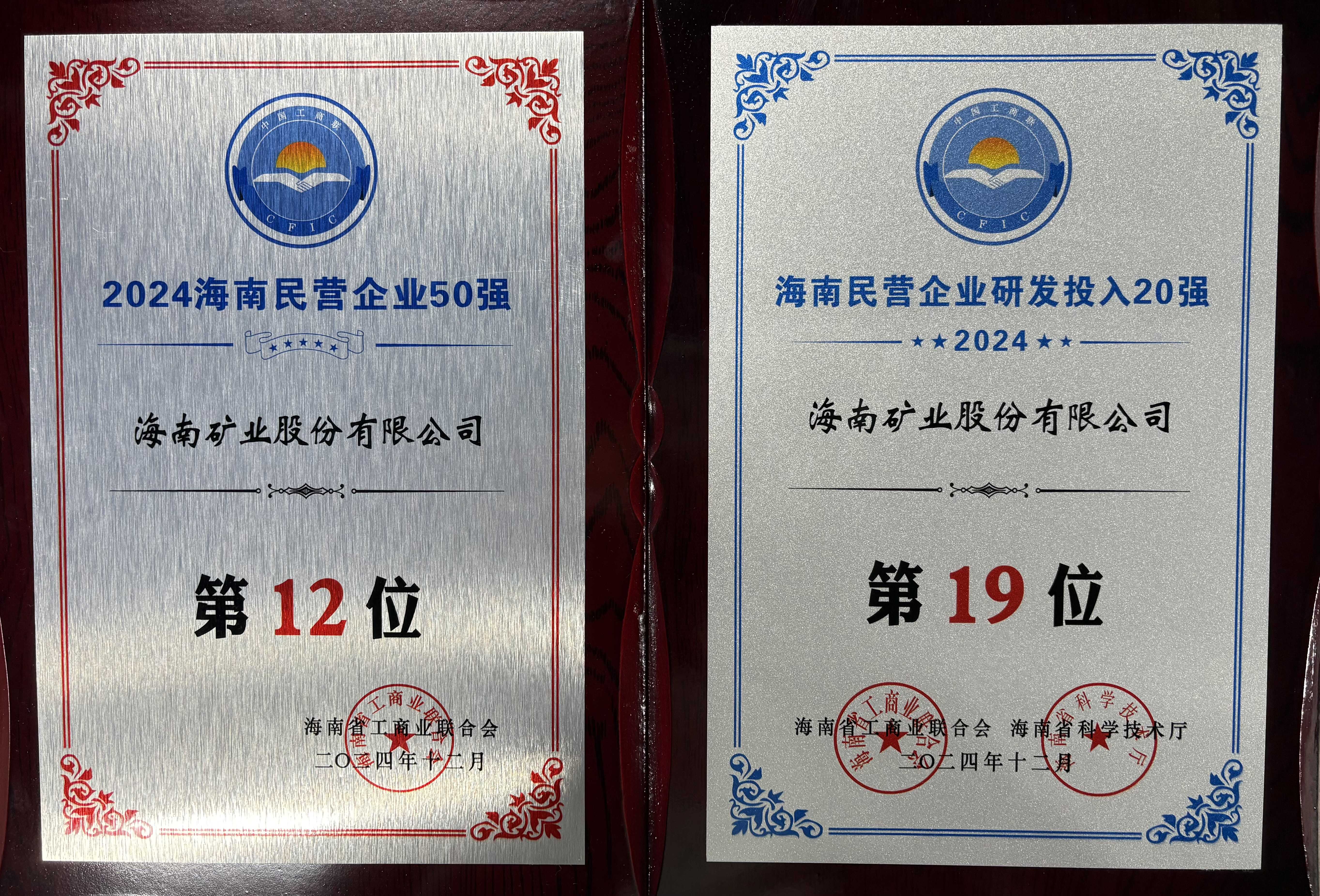 “2024海南民营企业50强”榜单宣布 菠菜担保网位列第12位