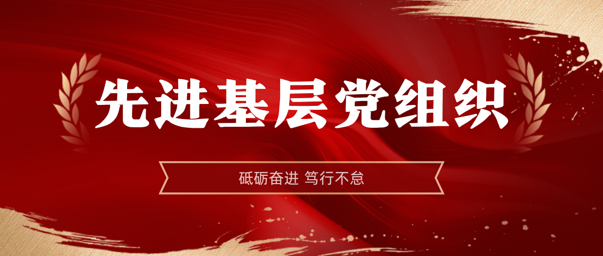 弘扬模范精神 | 菠菜担保网2024-2025年度先进下层党组织