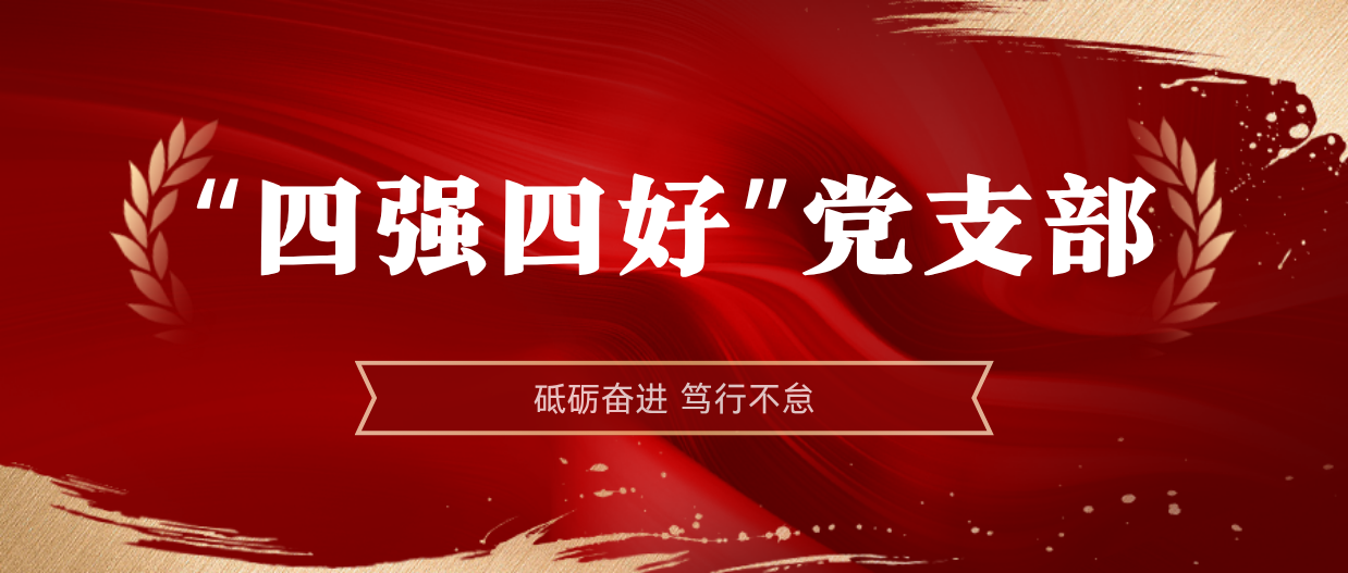 弘扬模范精神 | 菠菜担保网2024-2025年度“四强四好”党支部