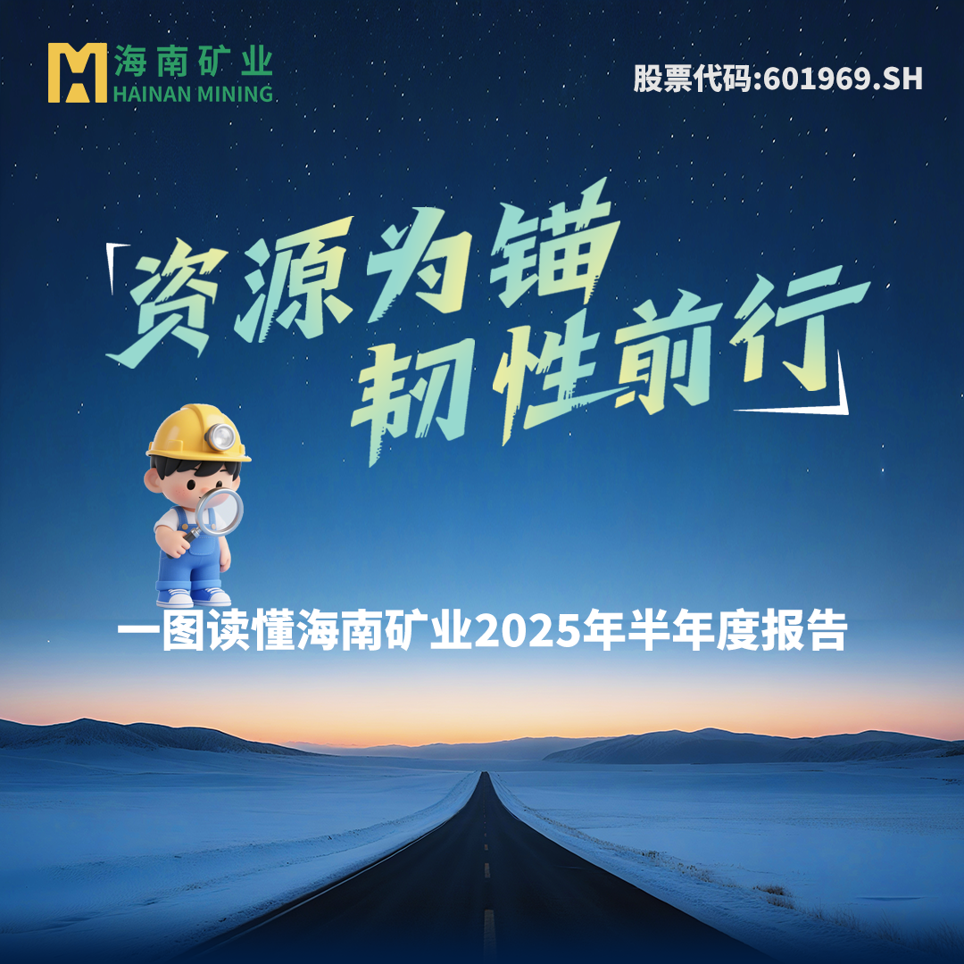 一图读懂菠菜担保网2025年半年度报告